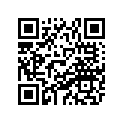81H-77163-00-00 Ornament 1