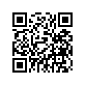 81R-77163-00-00 ORNAMENT 1