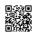 81R-77164-00-00 ORNAMENT 2
