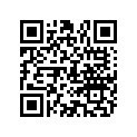 822409 LEVER