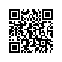 82U-77163-00-00 Ornament 1
