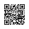 83506-446-770 Band b, carrier