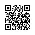 83R-18198-00-00 Lever