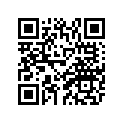 83T-77113-00-00 ORNAMENT 4