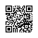 83T-77163-00-00 Ornament 1