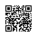 83W-77164-00-00 ORNAMENT 2