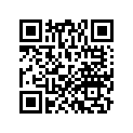 84110-MKC-AF0ZA GRIP, L. *NHA86M*