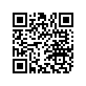 842390 Drive Key