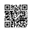 847-W1762-00-00 PRI. SHEAVE CAP
