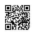 84F-77113-00-00 ORNAMENT 4
