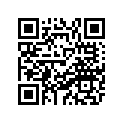 84F-77163-00-00 Ornament 1