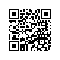 84H-77163-00-00 Ornament 1