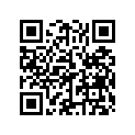 853378 GASKET