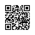 853498 LEVER