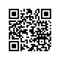 853759T01 LEVER