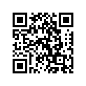 854561 Mirror Support