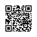 855741 Inner Tube 21