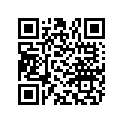 856603 Socket Support