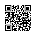 8582522 DECAL GANGRUN 40
