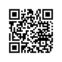 858633 Decal Set