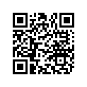 860304 Decal Set