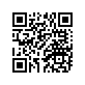 861-81300-20-00 FLYWHL MAGNETO ASY