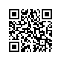 8611-040 DECAL,FRT SPAR-GRN RH 