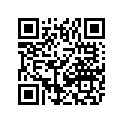 8611-041 DECAL,FRT SPAR-GRN LH 