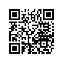 8611-391 DECAL,SPAR-LH (LXR/TURBO)