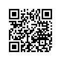 8611-449 DECAL,FRT SPAR-GRN LH-