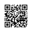 8611-771 DECAL,FRT SPAR-GAM LH