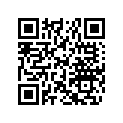861749300 Mirror Kit