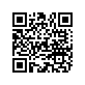 863836A56 DSH BRAVO XR E