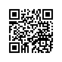 865-14522-00-00 SCREW,ADJUST