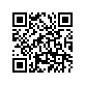865-47495-00-00 STOPPER 1