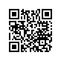86642-K75-V40ZA STRIPE, L. (TYPE3)