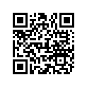866447A04 DSH VAZER BASIC