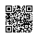866447A08 DSH VAZER 2.77
