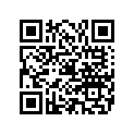 8667A43 PIST.ASY PORT.015