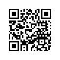 86H-77163-00-00 Ornament 1