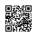 86P-77163-00-00 Ornament 1