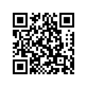86V-77169-00-00 Ornament 3