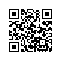 87112-ML4-900ZC Stripe b,*type 3*