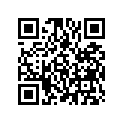 87113-MB9-950ZB Decal, R. (type2)