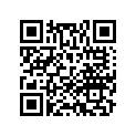 87129-GBY-910ZC Stripe,l f*type3*