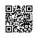 872655 Ring
