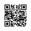 87505-GAH-740ZA Label,tire*typew*
