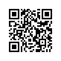 87524-MT3-610 LABEL,POCKET (GER