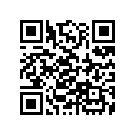 87539-ZS9-A30 LABEL,EX.WARNING
