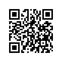 87565-MT3-300ZB Label,colo*type2*